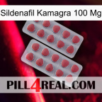 Sildenafil Kamagra 100Mg 19